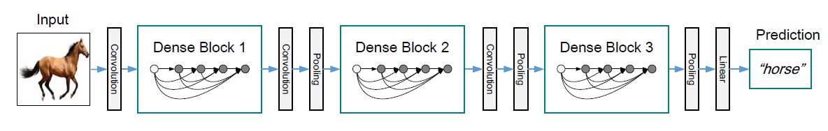 DenseNet网络结构